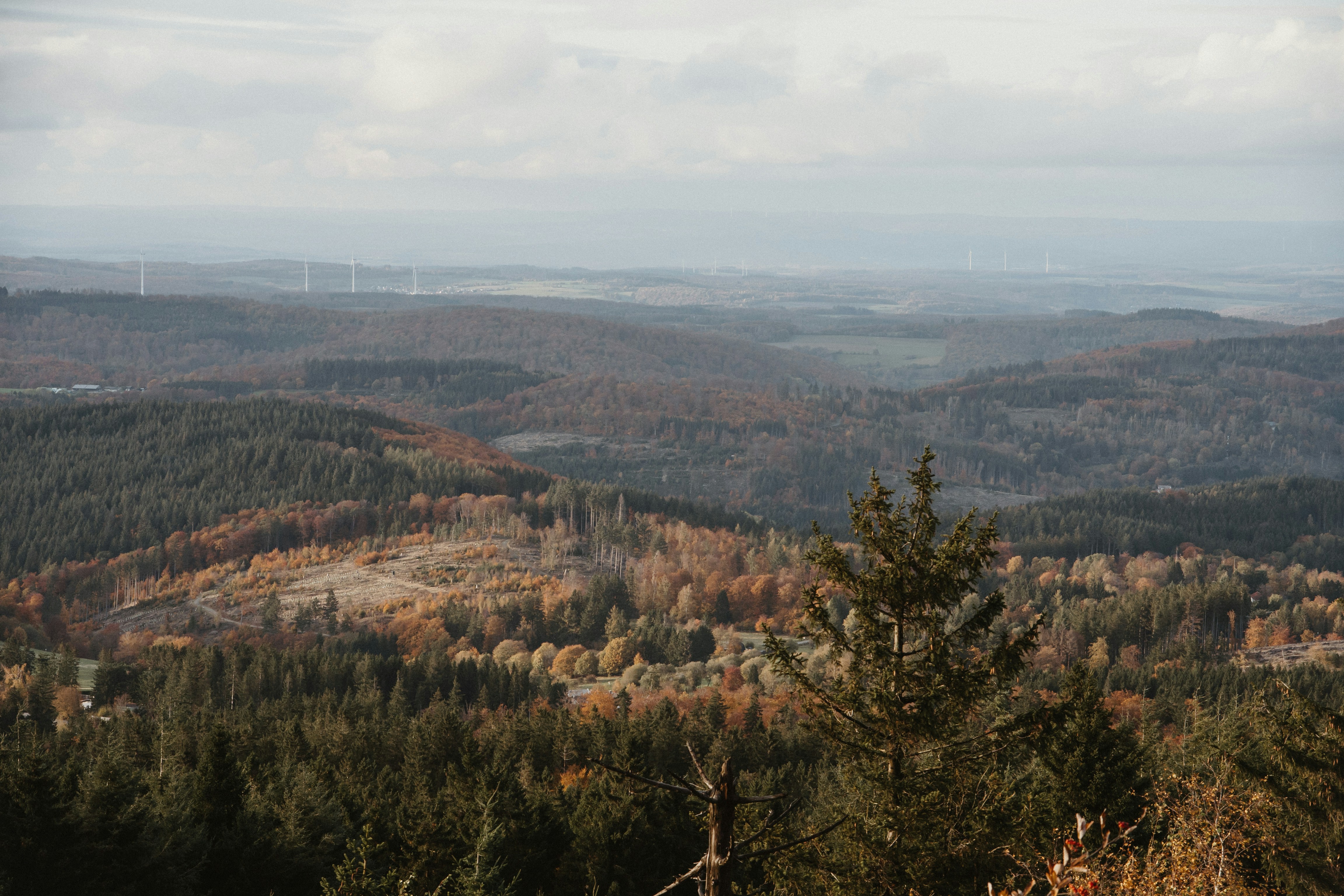 Bourg-en-Bresse, Élégance au Cœur de l'Ain : Une Exploration Tranquille en France